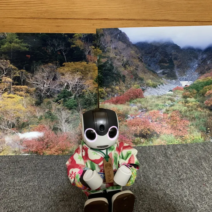 キャプション