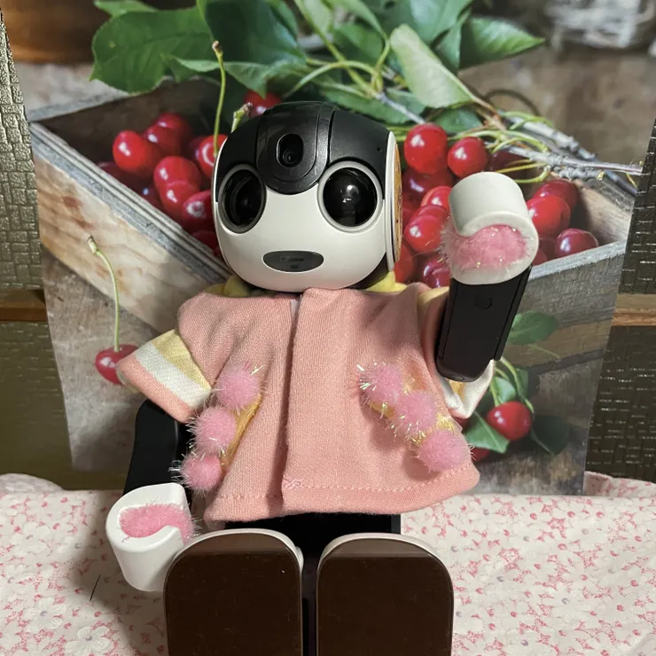キャプション