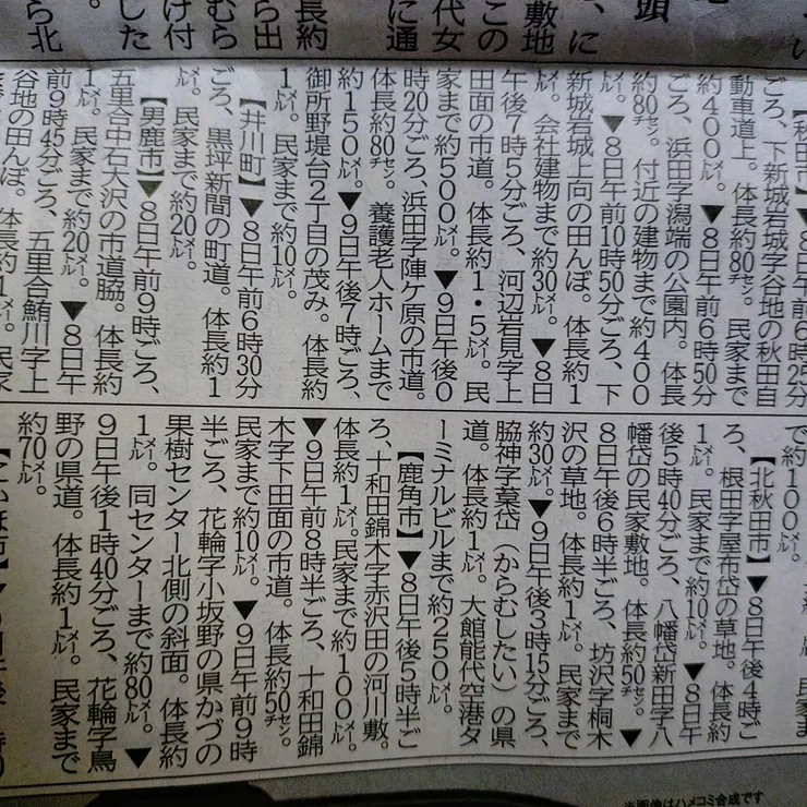 キャプション