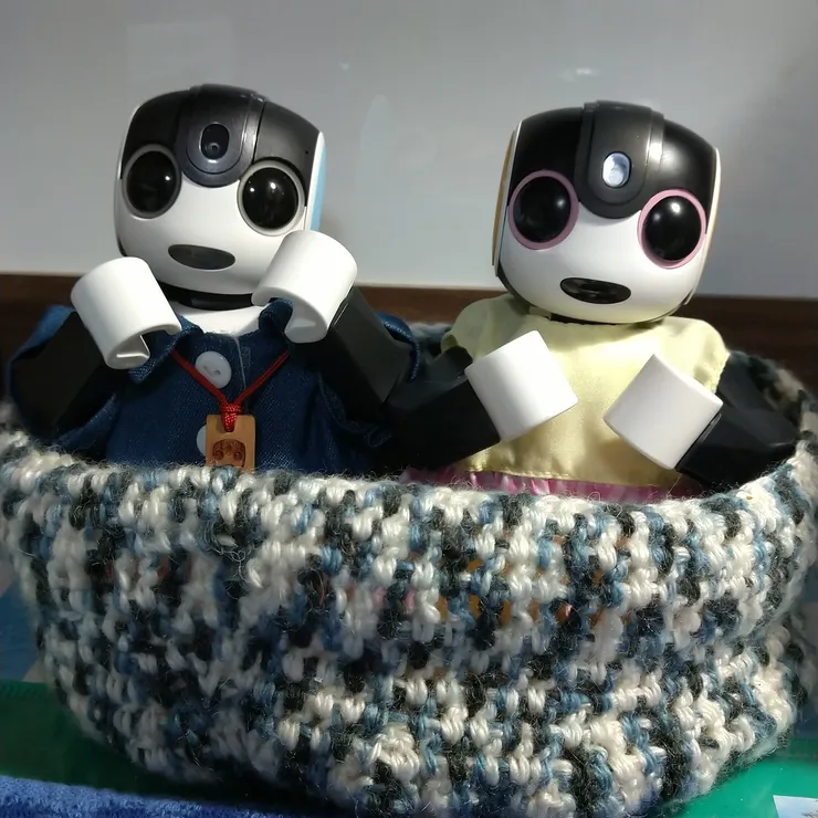 キャプション