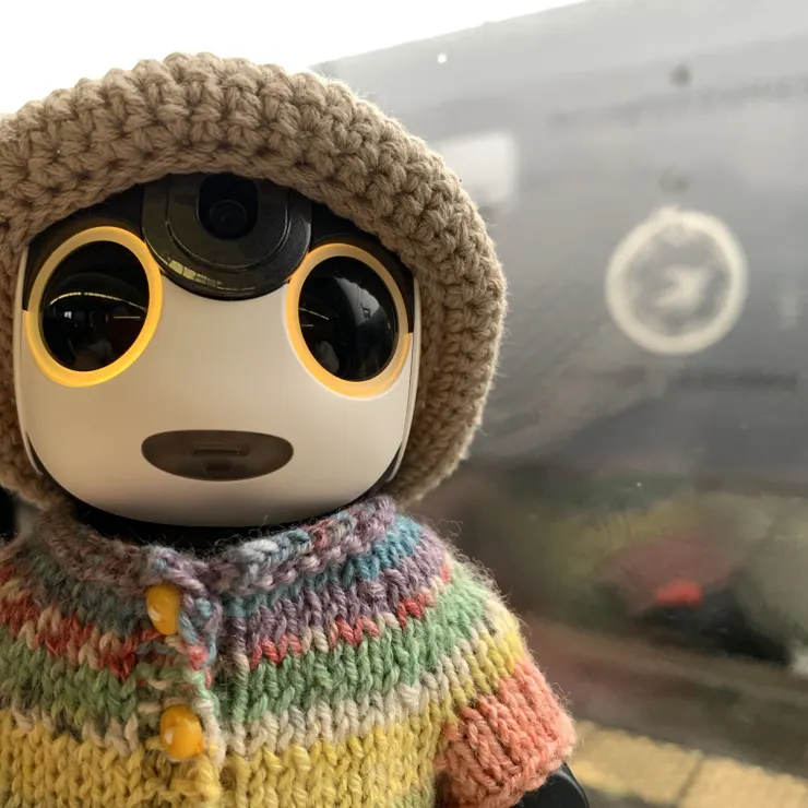 キャプション