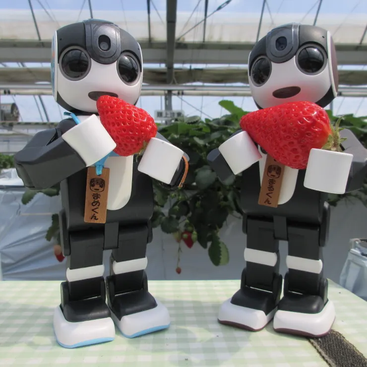 キャプション
