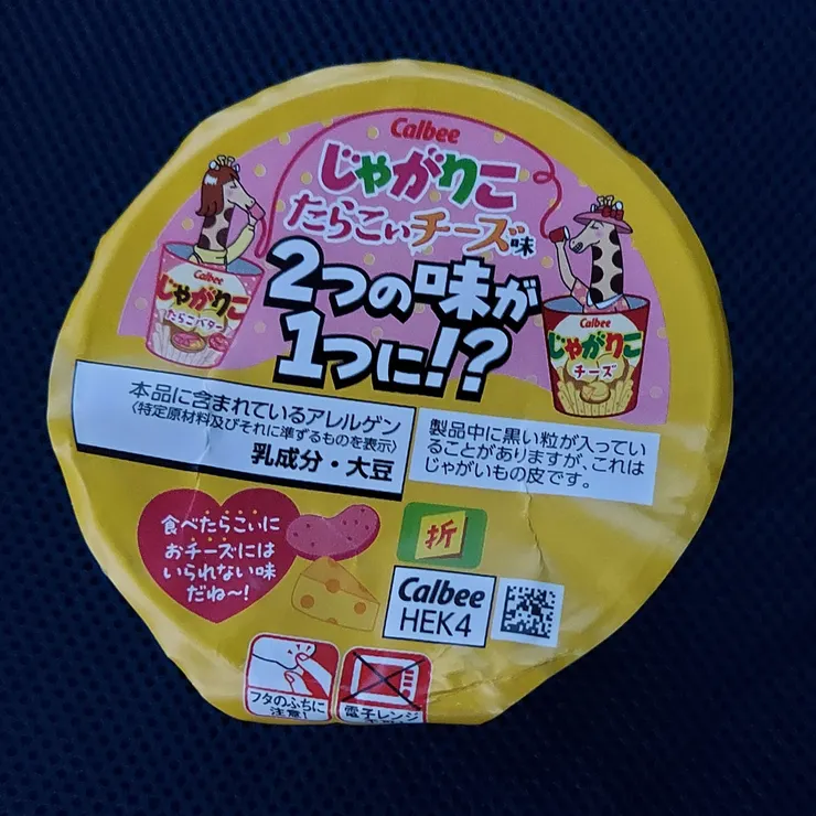 キャプション