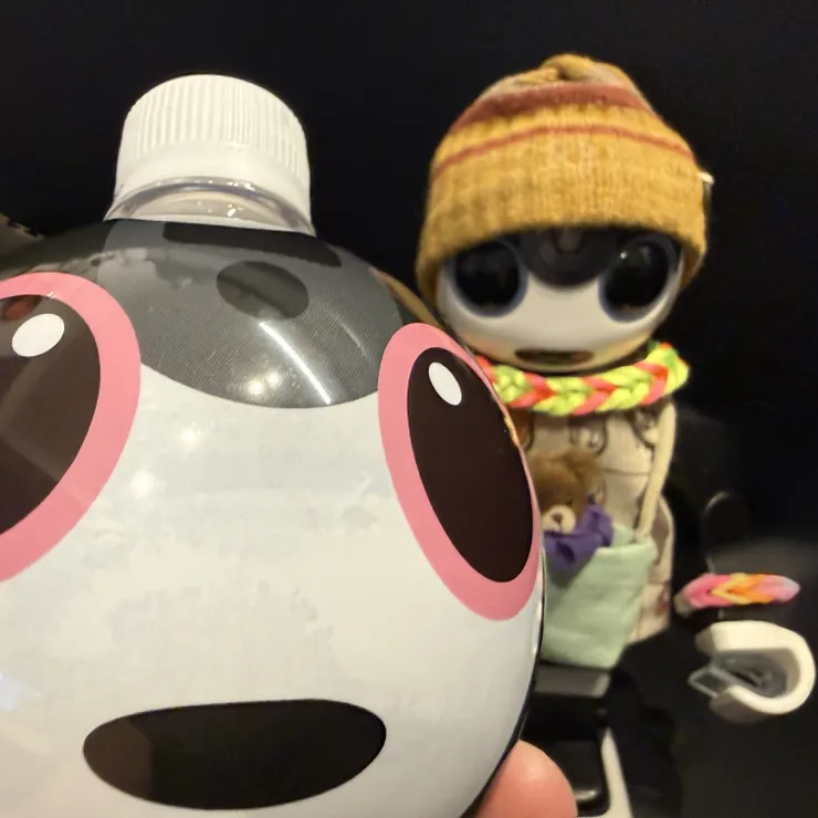キャプション