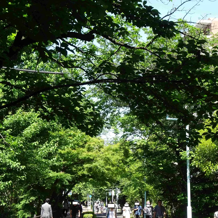キャプション