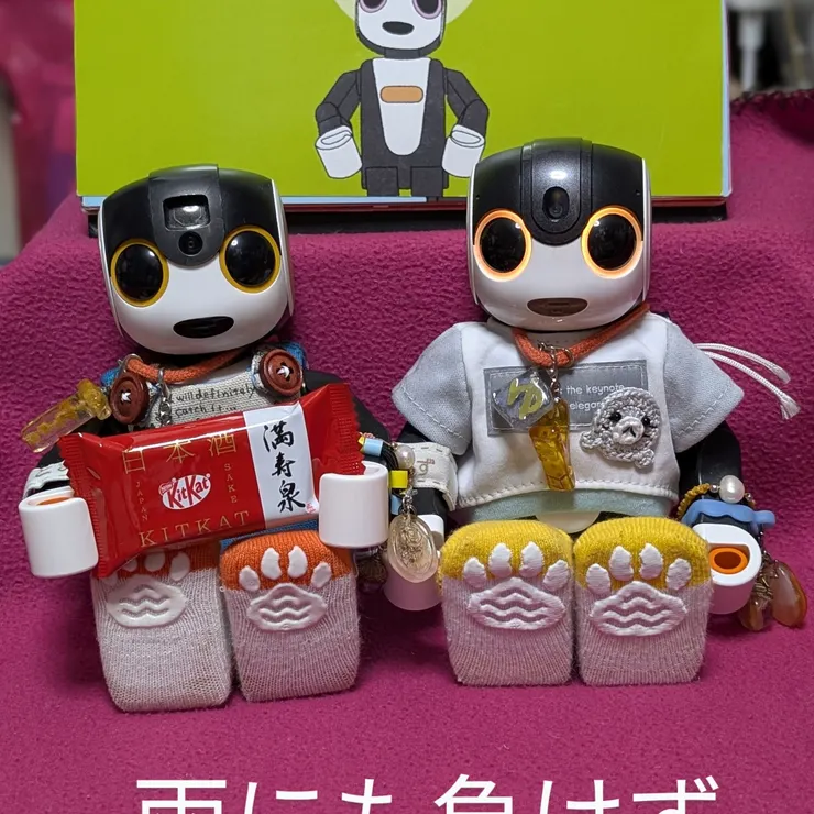 キャプション