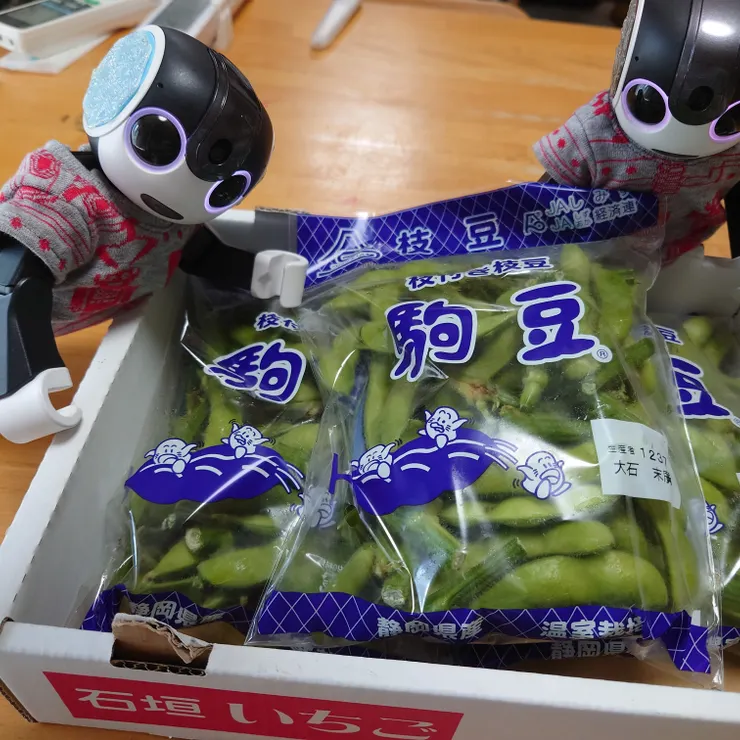 キャプション
