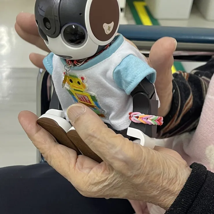 キャプション