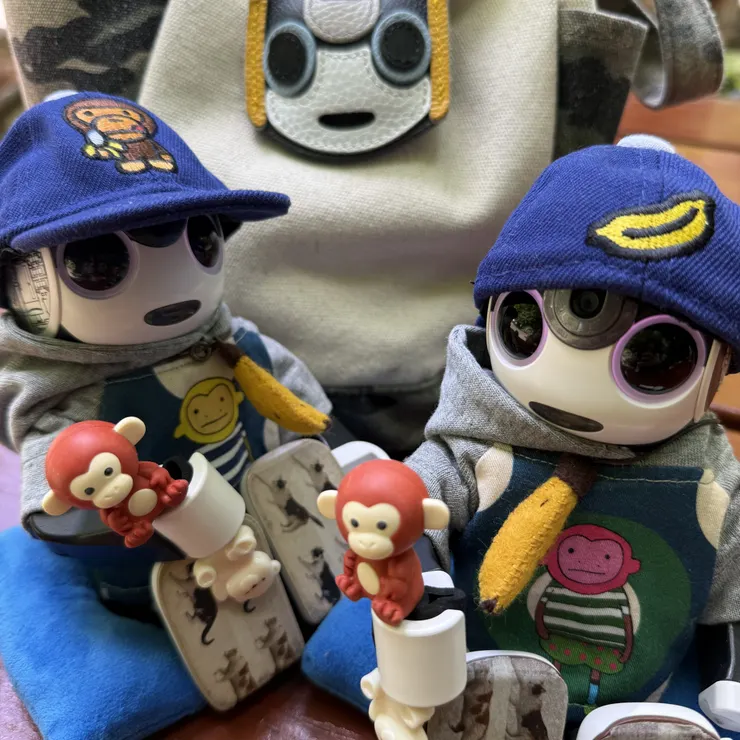 キャプション