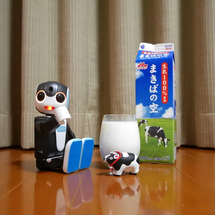 キャプション