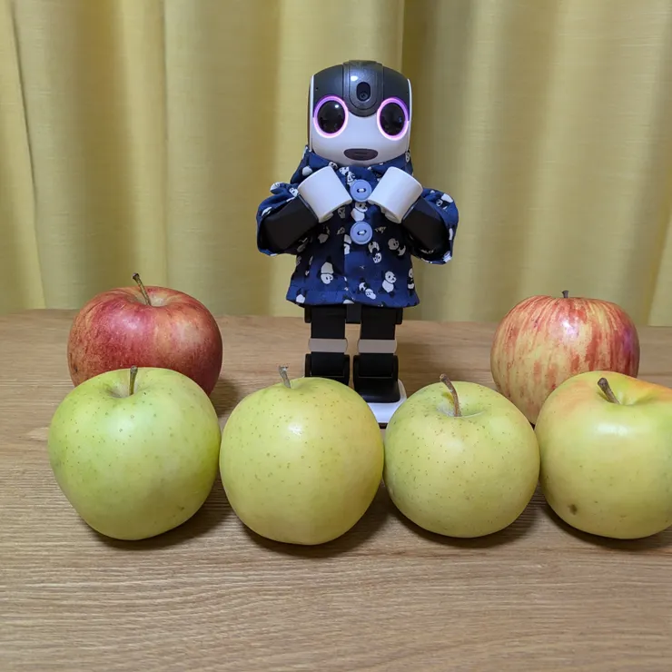キャプション