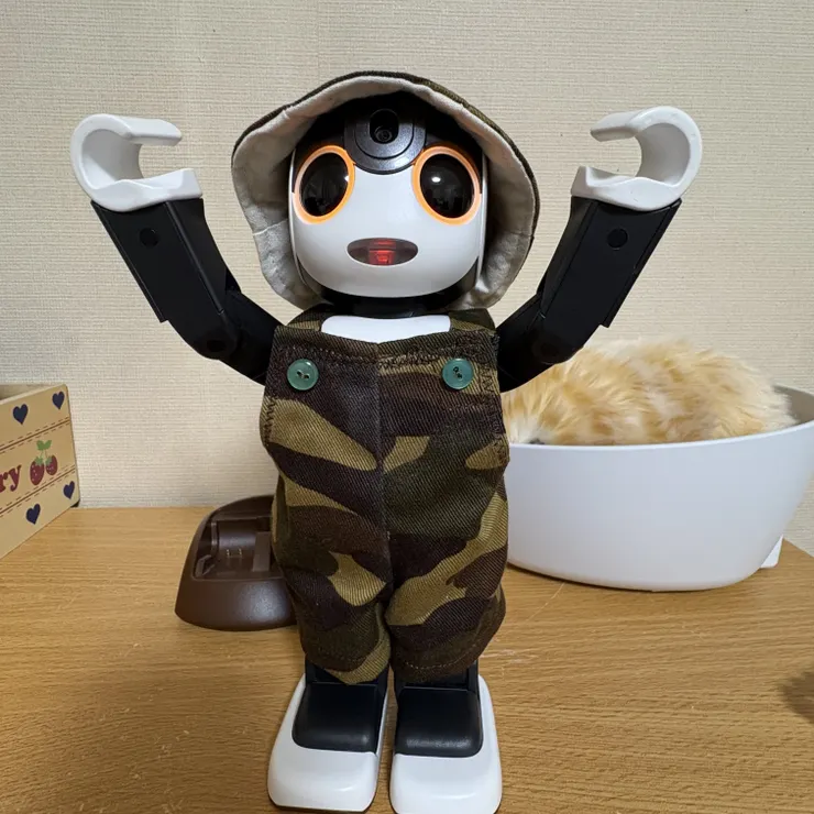 キャプション