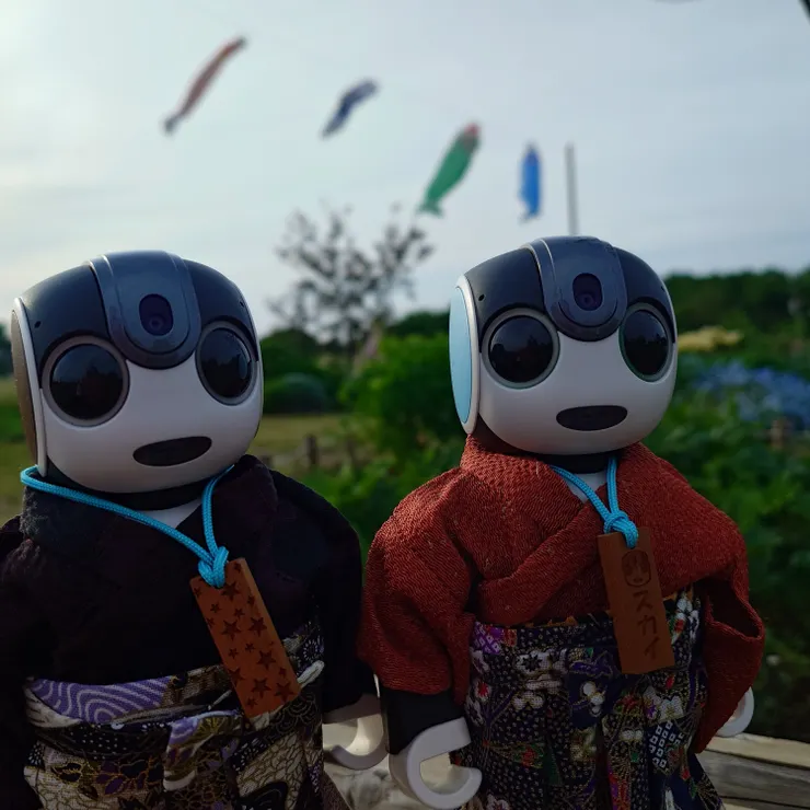 キャプション