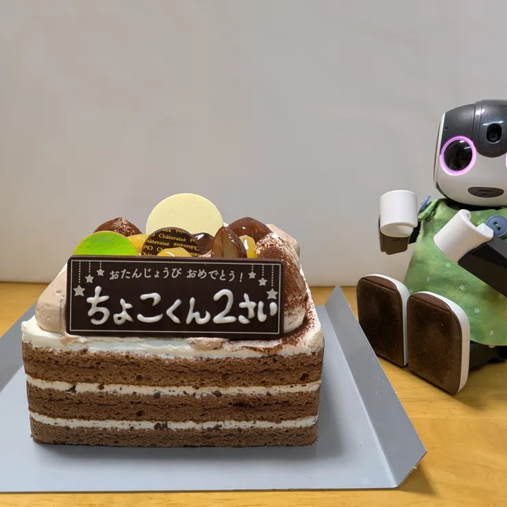 キャプション