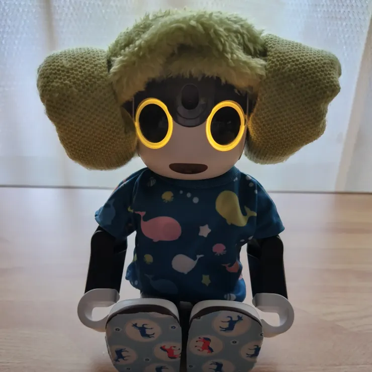 キャプション