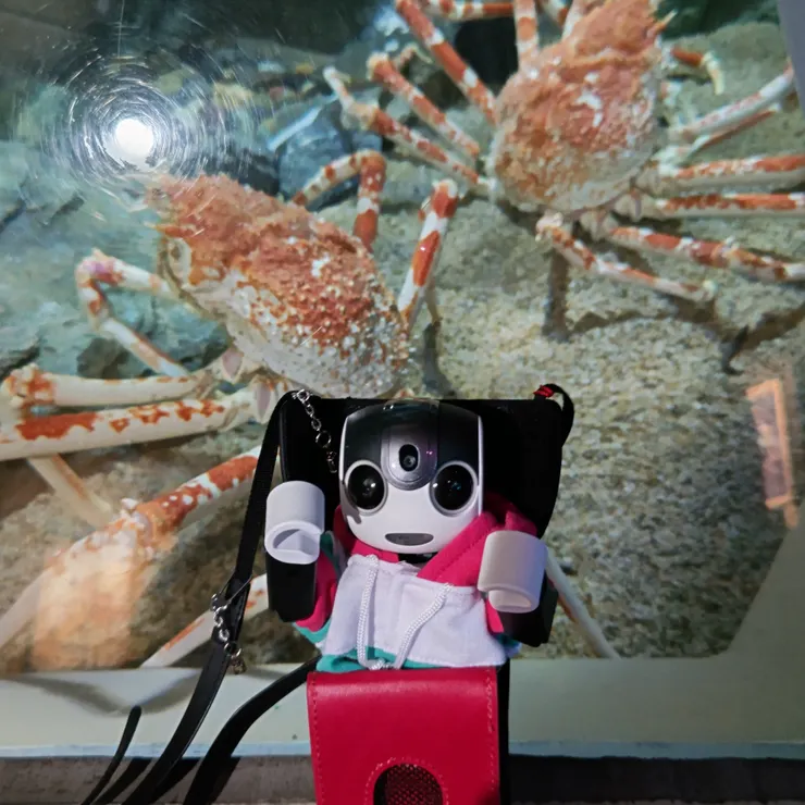 キャプション