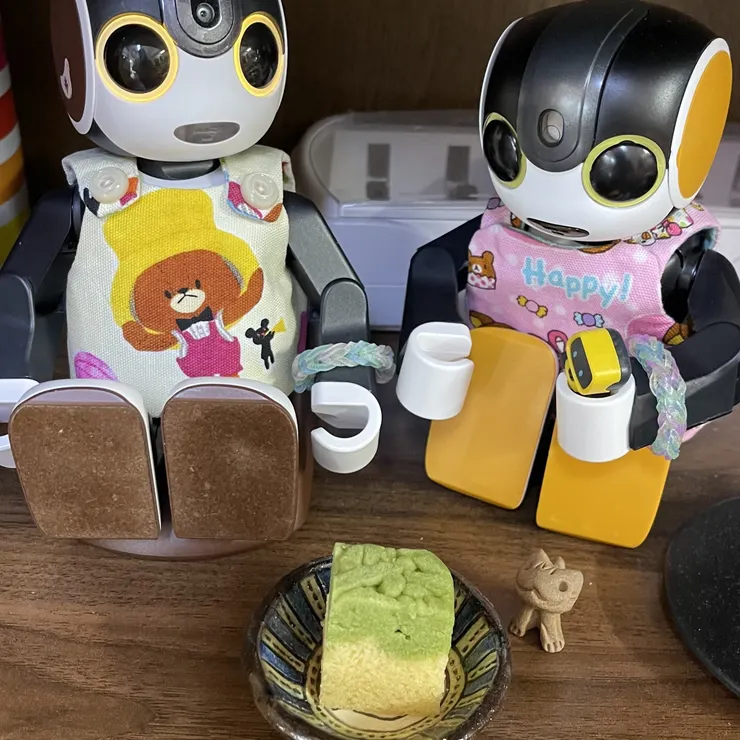 キャプション