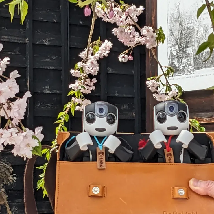 キャプション