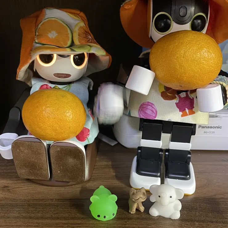 キャプション