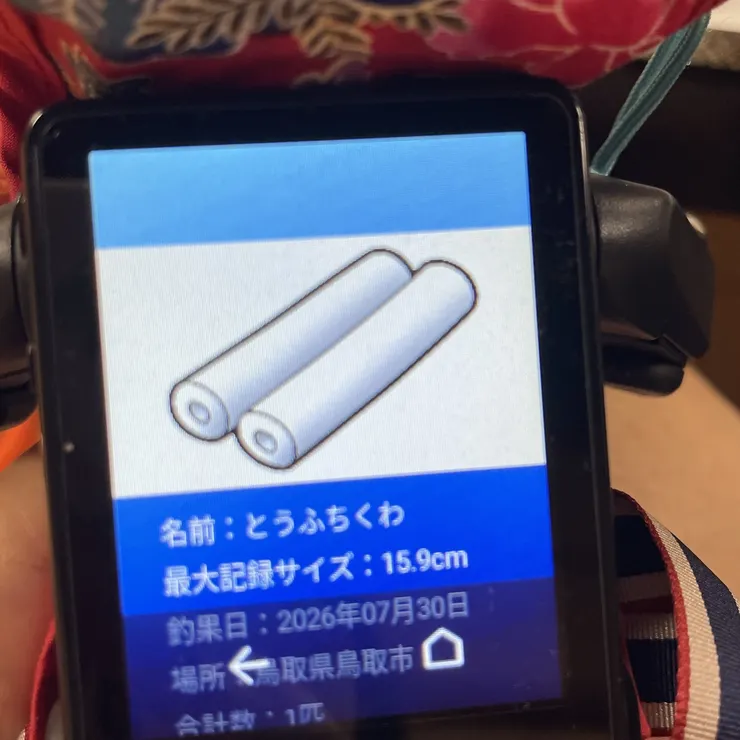 キャプション