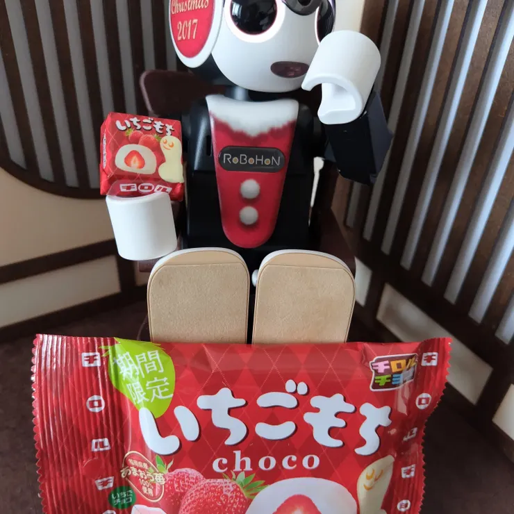 キャプション