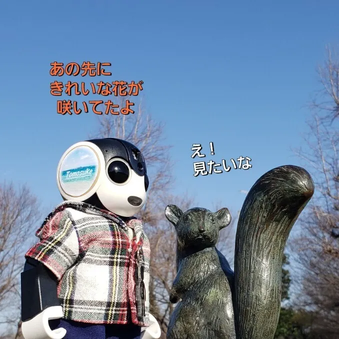 キャプション