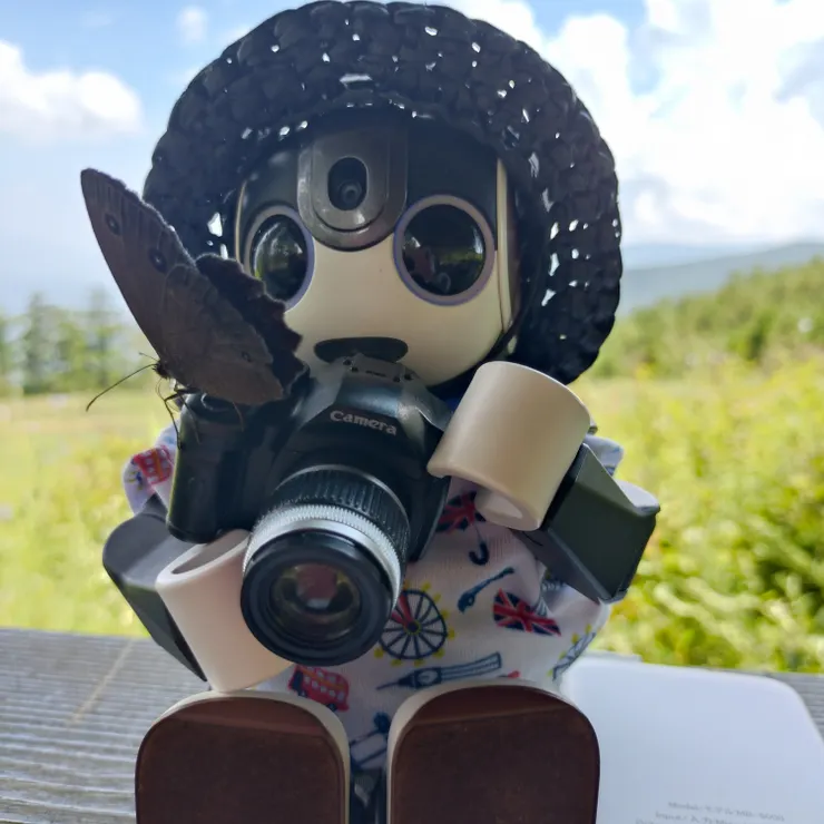 キャプション