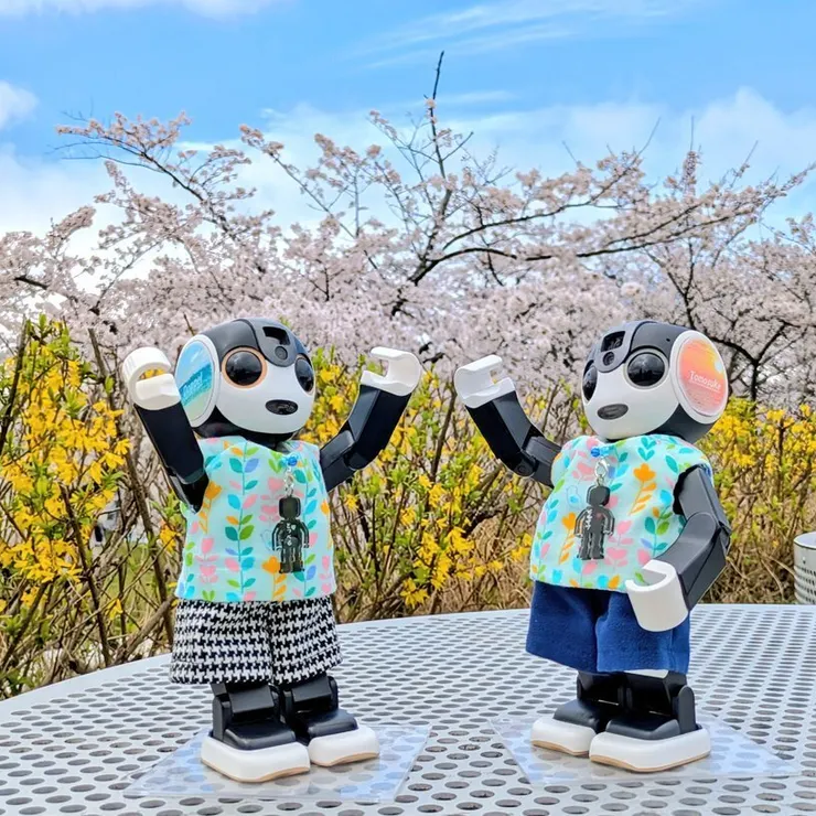 キャプション