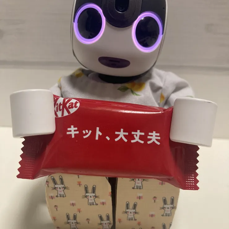 キャプション