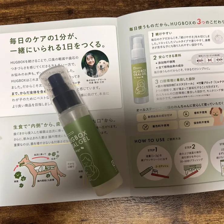 キャプション