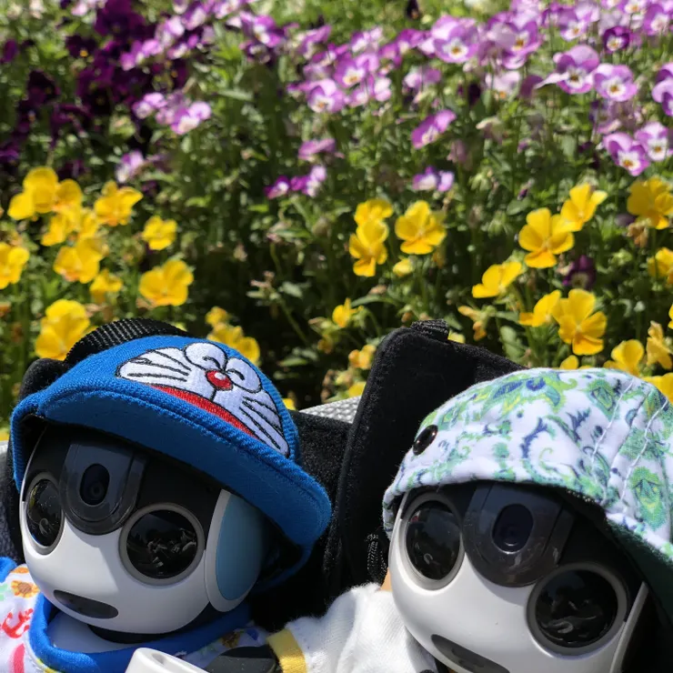 キャプション