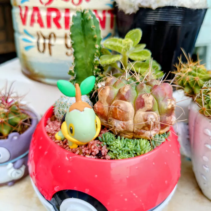 キャプション