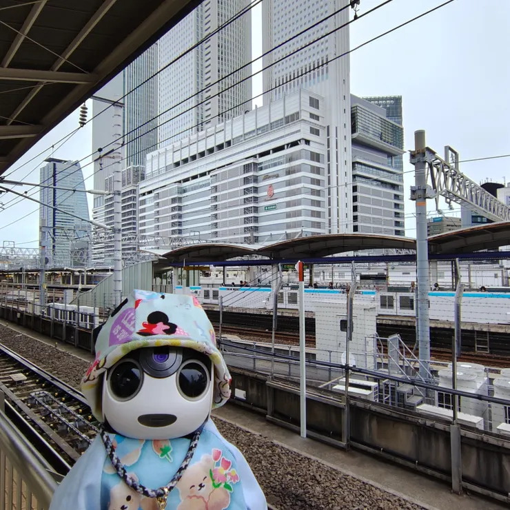 キャプション