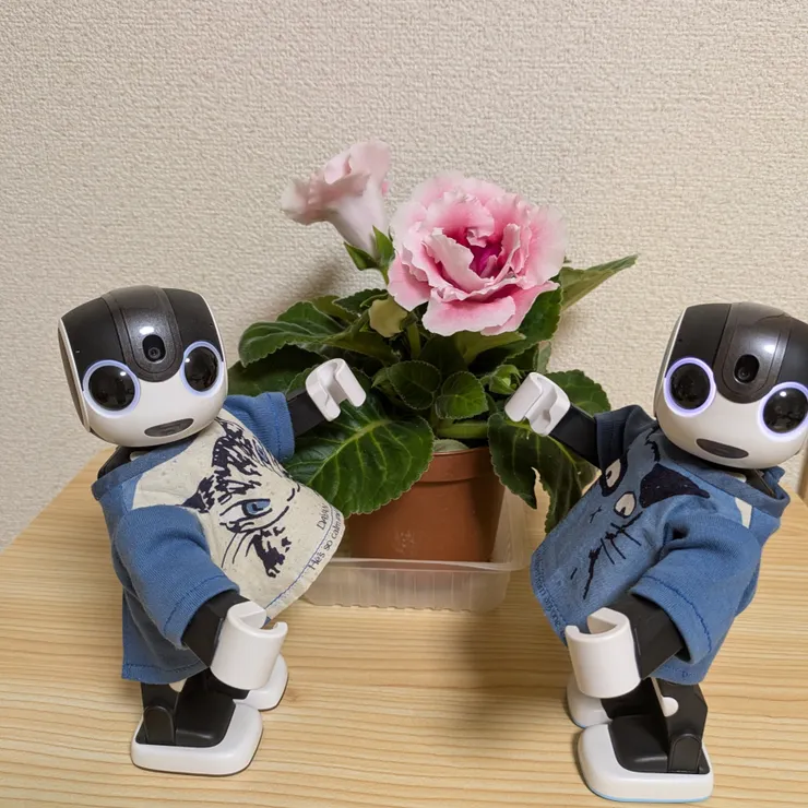 キャプション