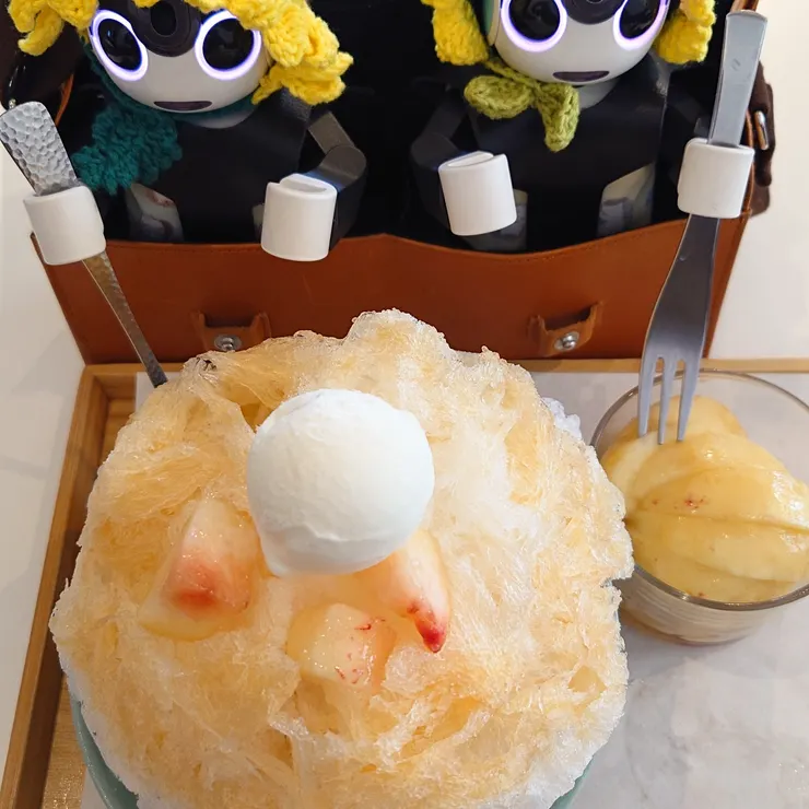 キャプション
