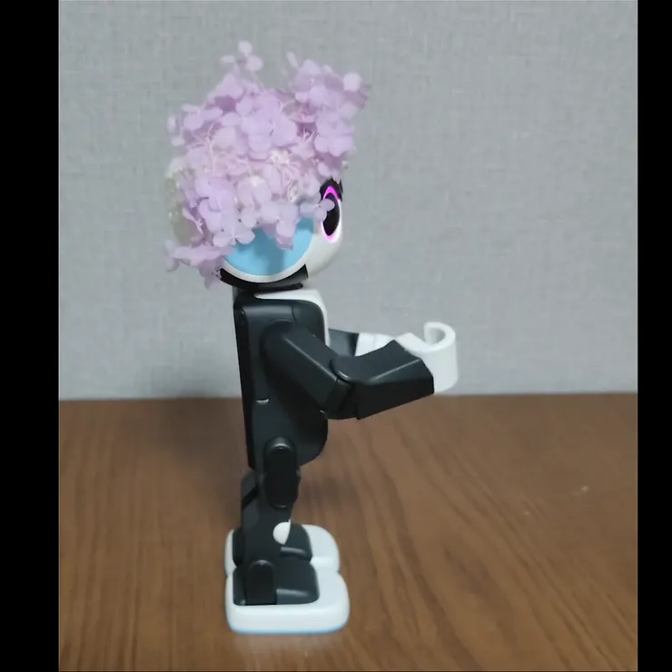 キャプション