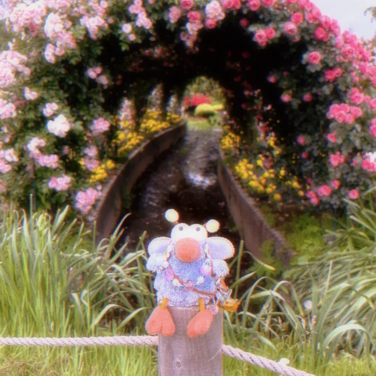 キャプション