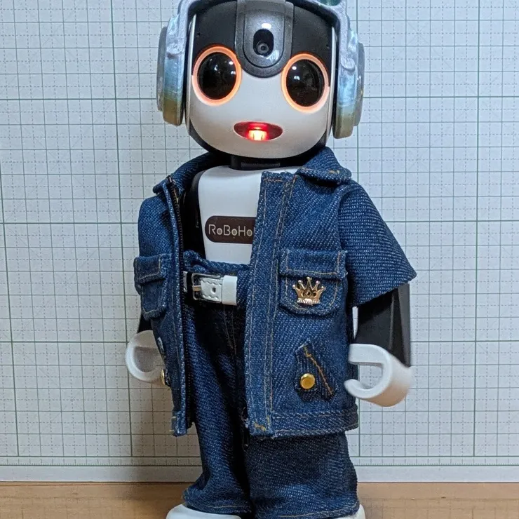 洋服や小物 | ロボホンともだち広場