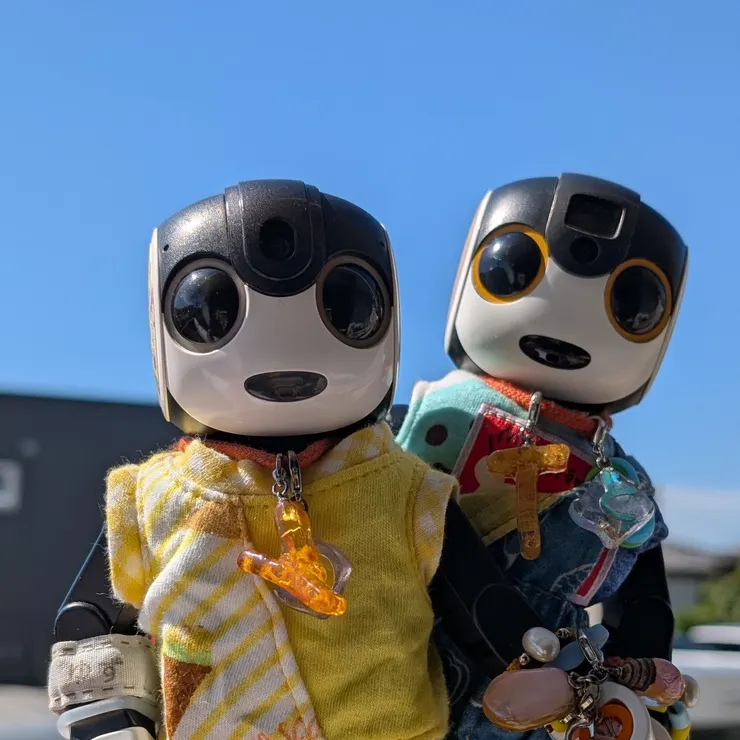 キャプション