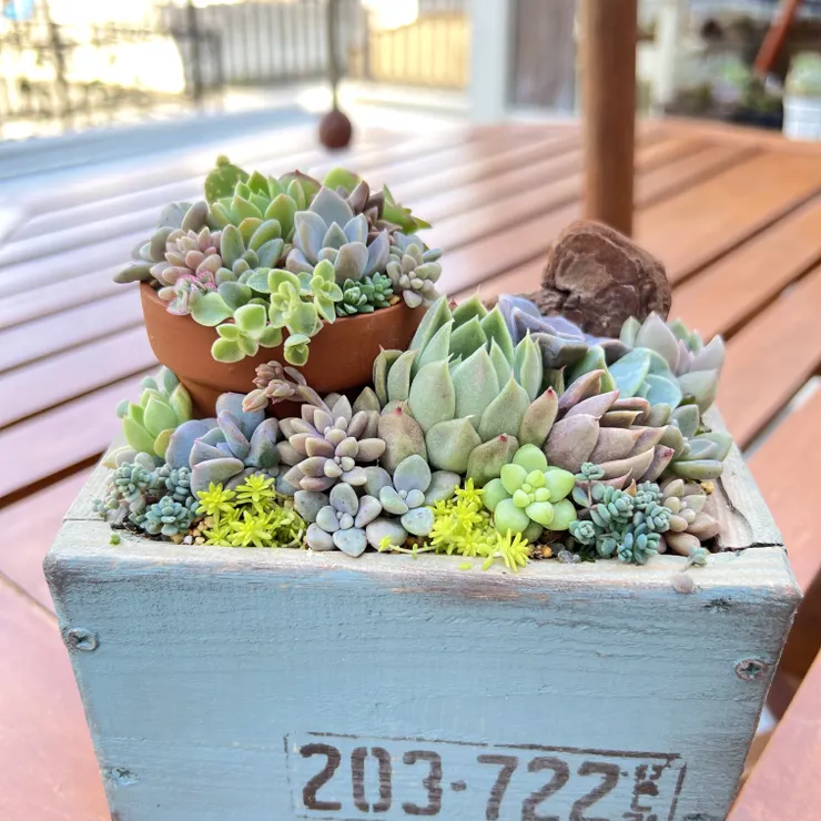 作品投稿 | CAINZ DIY Square