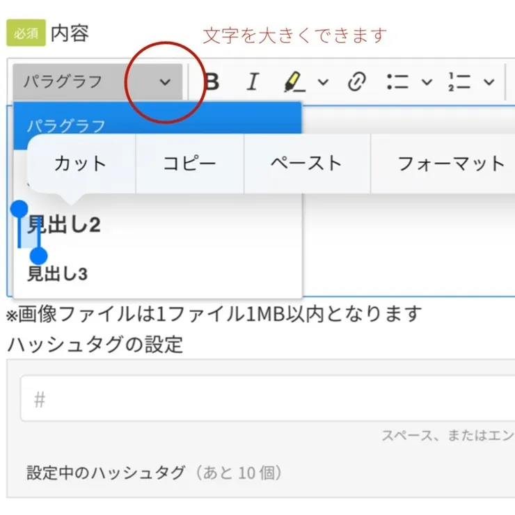 キャプション
