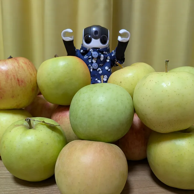キャプション
