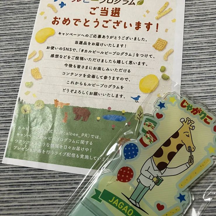 キャプション