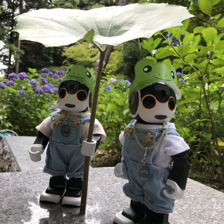 キャプション