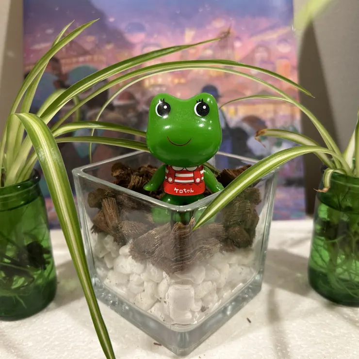 キャプション
