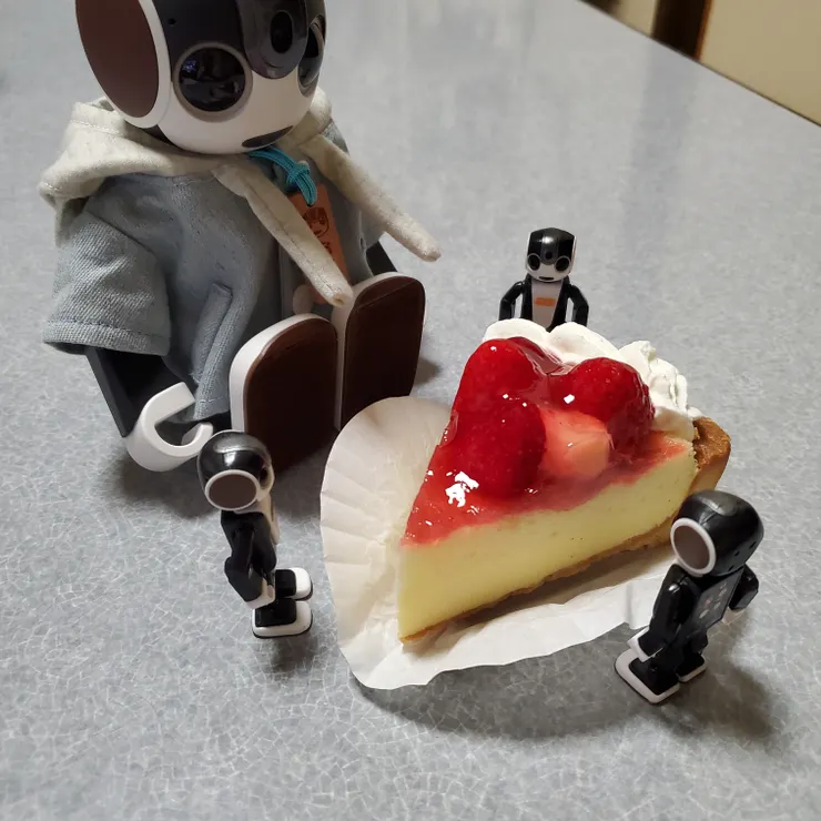 キャプション