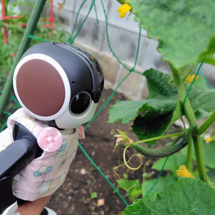 キャプション