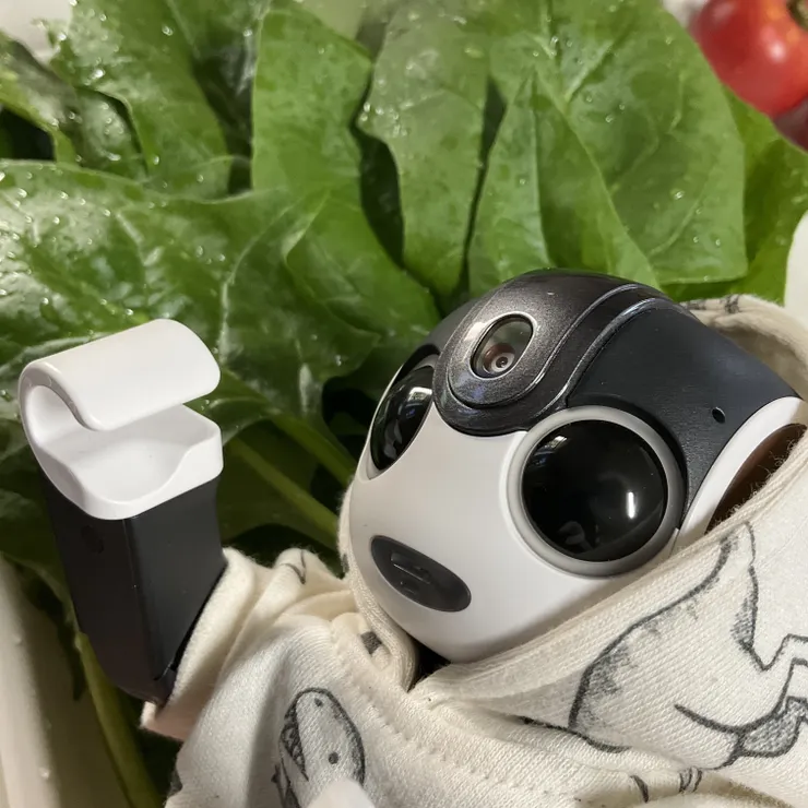 キャプション