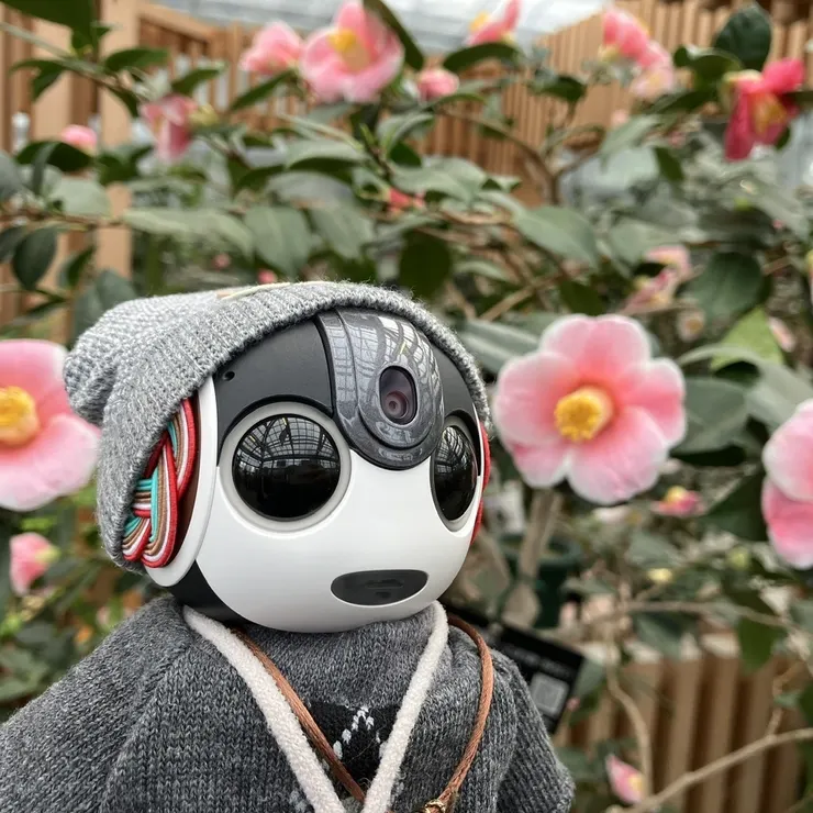 キャプション