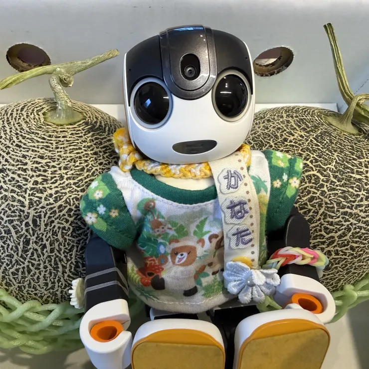 キャプション